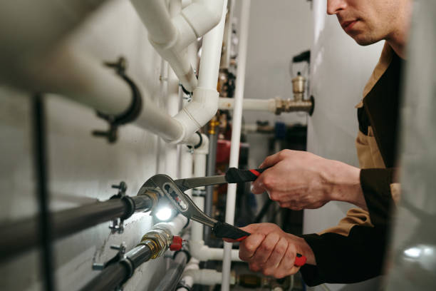 Best Plumbing Services Near Me  in Albion, IN