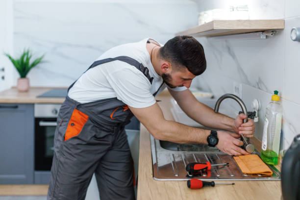 Best Affordable Plumbing Services  in Albion, IN