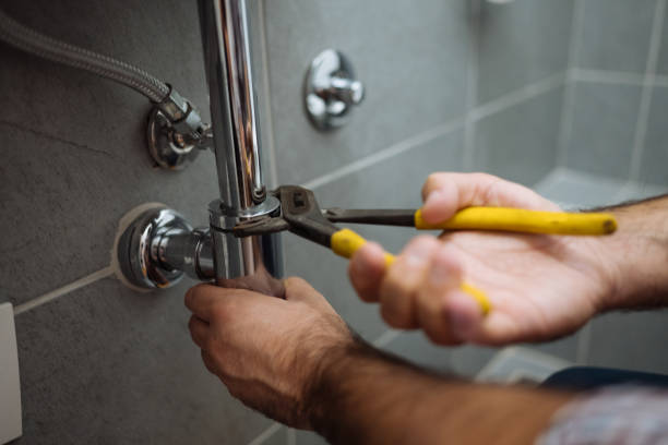 Best Commercial Plumbing Services  in Albion, IN