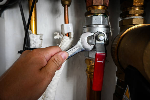 Best Sewer Line Repair  in Albion, IN